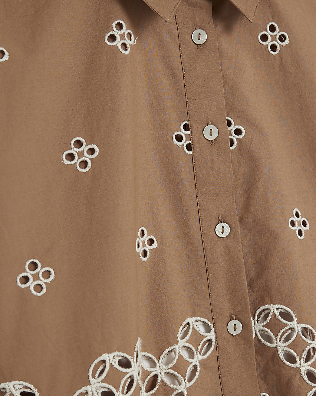 Van Dyke Brown Long Sleeve Cropped Shirt
