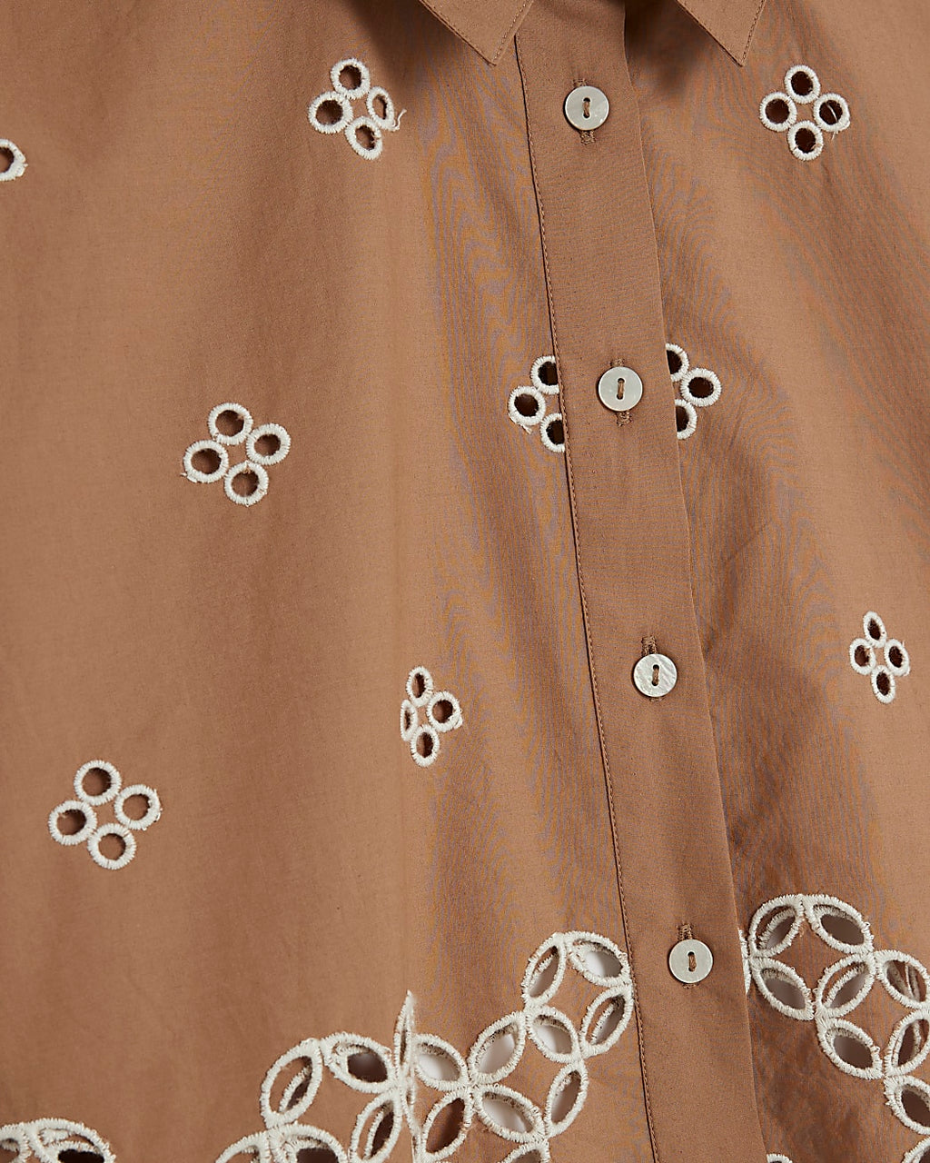 Van Dyke Brown Long Sleeve Cropped Shirt